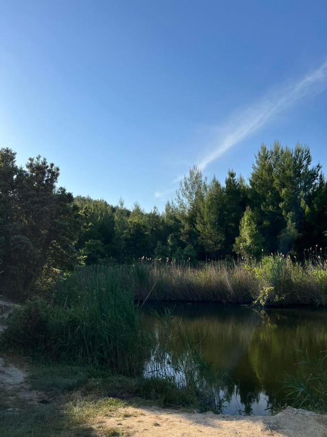 דירות פוליכרונו Polystylohill מראה חיצוני תמונה